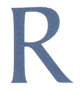 Rajsriya Automotive Industries (P) Ltd, Unit-IV